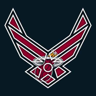 Airforce Miami Heat Logo vinyl decal